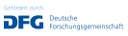 dfg_logo_schriftzug_blau_foerderung_4c[1].jpg